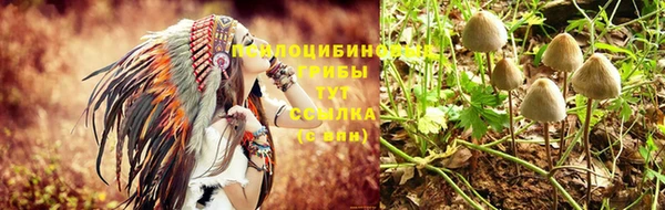 крисы Армянск